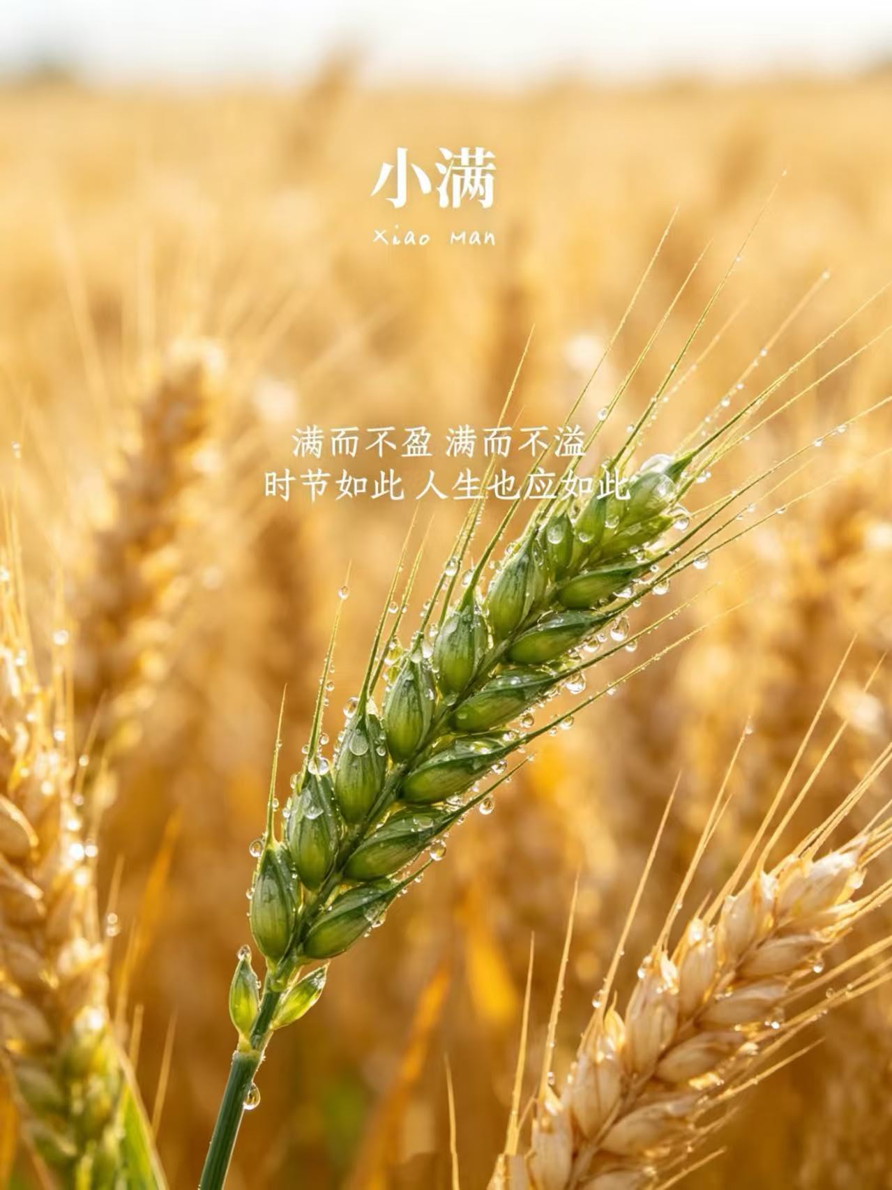 真正的红利投资者是什么样的？-青知资源